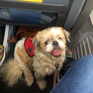 Meet your Posher, Kendall